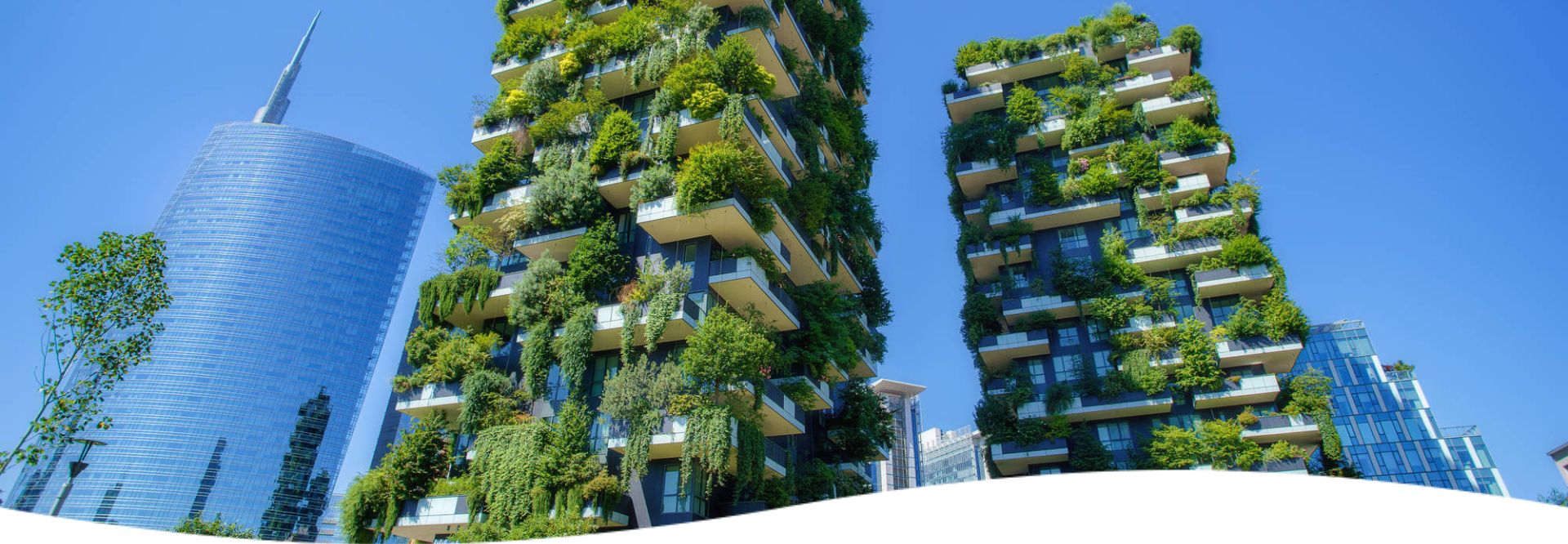 企业可持续发展咨询